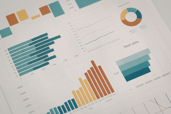 Geo grid ranking reports